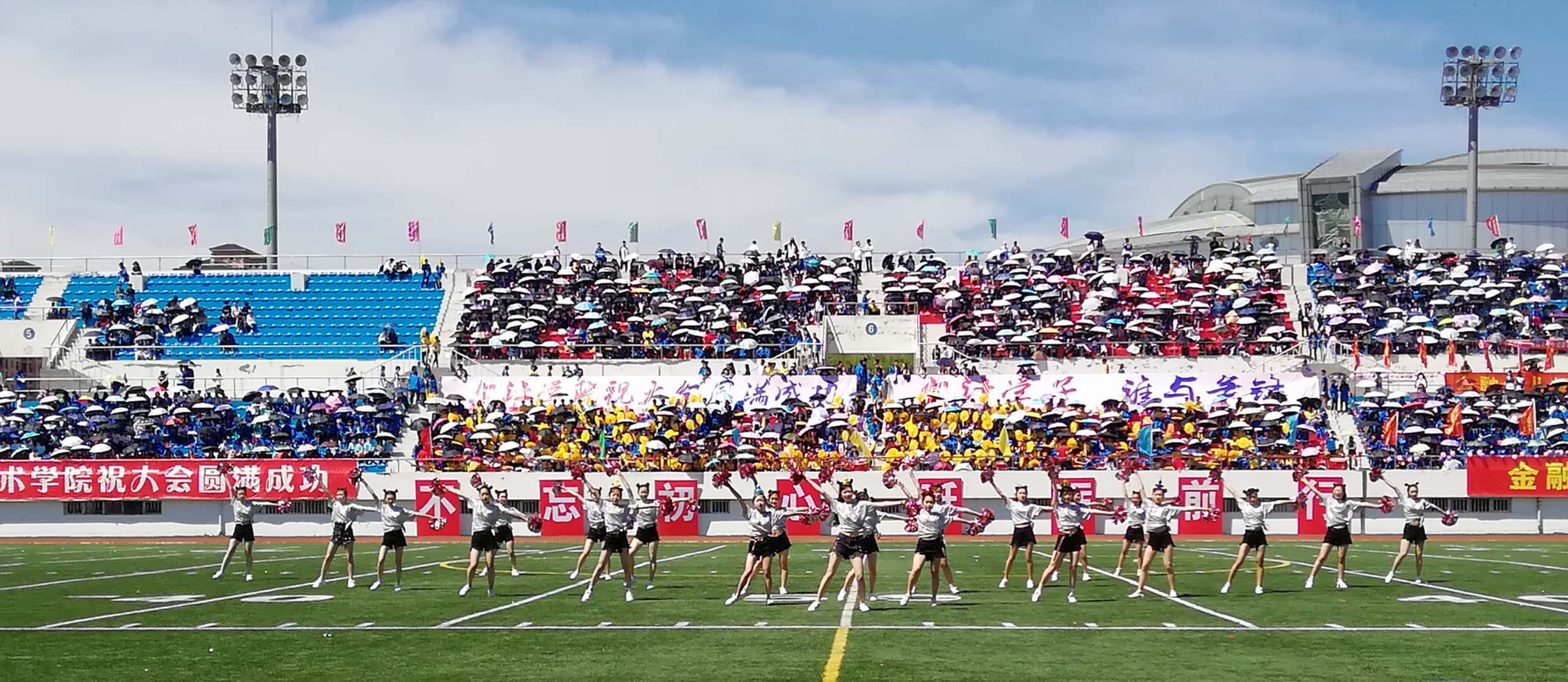 1528159654116048.jpg 7.jpg